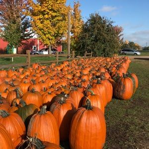 Meet your Posher, Debra